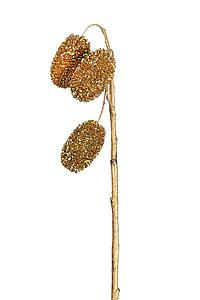 VARA CARDO GLITTER 60CM 