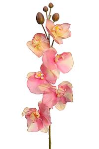 ORQUIDEA TACTO NATURAL 80CM