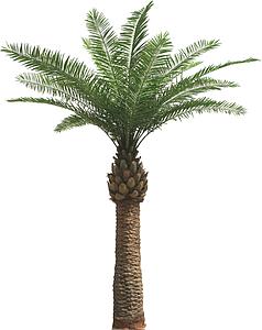 PALMERA ARTIFICIAL GIGANTE - CONSULTAR PRECIO