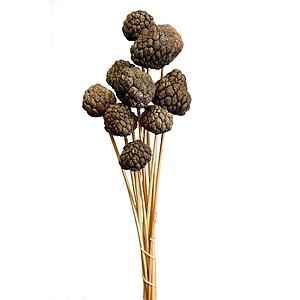 POMO ALTA FRUIT 45CM