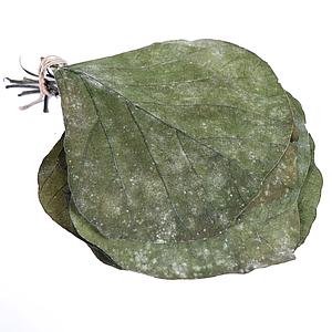 HOJAS COBRA BOLSA 25UD 19CM 