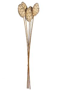 SOLA CHIP PINE LARGE X5 65CM