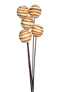 SOLA ZEBRA/GLOBE ON STEM 5 PCS 75CM