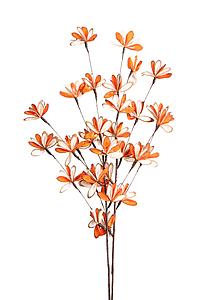 SOLA CHIPS SUNNY RUD STICK DRAGON X2 90CM