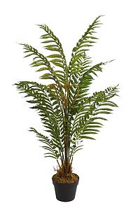 HELECHO ARBOREO CON MACETA, 120CM
