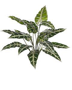 PLANTA ALOCASIA SANDERIANA ARTIFICIAL 