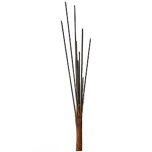 TRONCO CHAMADOREA 15 TALLOS 