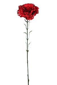 VARA CLAVEL ARTIFICIAL 55 CM 