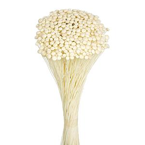 POMO AMARELINHO 45CM