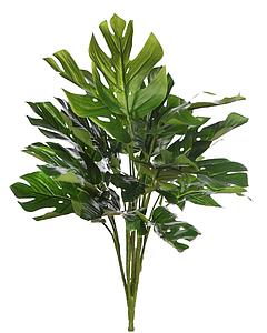 PLANTA MONSTERA 45CM