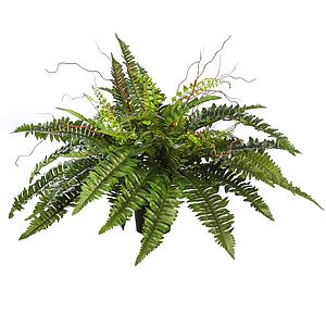 HELECHO CON BROTES EN MACETA ø 84CM