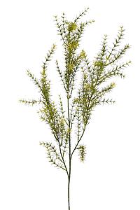 VARA DE ESPARRAGUERA ARTIFICIAL 66CM