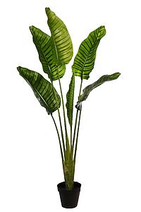 PALMERA ARTIFICIAL RAVENALA 160CM