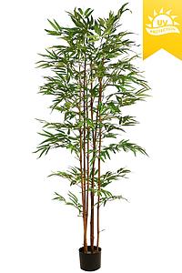 ARBOL DE BAMBU CON TRATAMIENTO UV 180CM