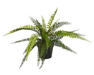 HELECHO EN MACETA ARTIFICIAL 40CM