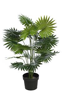 PALMITO EN MACETA ARTIFICIAL 65CM