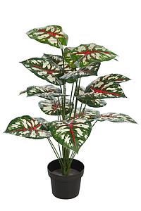 PLANTA CALADIUM ROJO EN MACETA ARTIFICIAL 65CM