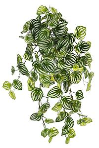 PEPEROMIA BICOLOR ARTIFICIAL COLGANTE 75CM TACTO NATURAL 