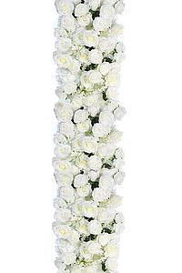 PANEL ROSAS BLANCAS 200X40CM