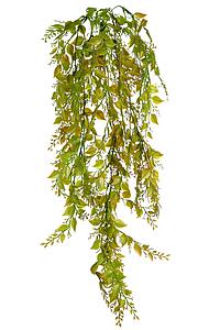 ENREDADERA COLGANTE 75CM