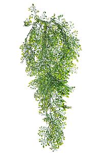 PLANTA DICHONDRA ARTIFICIAL 75CM