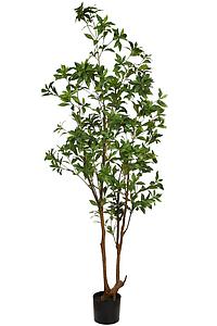SCHEFFLERA EN MACETA ARTIFICIAL 195CM